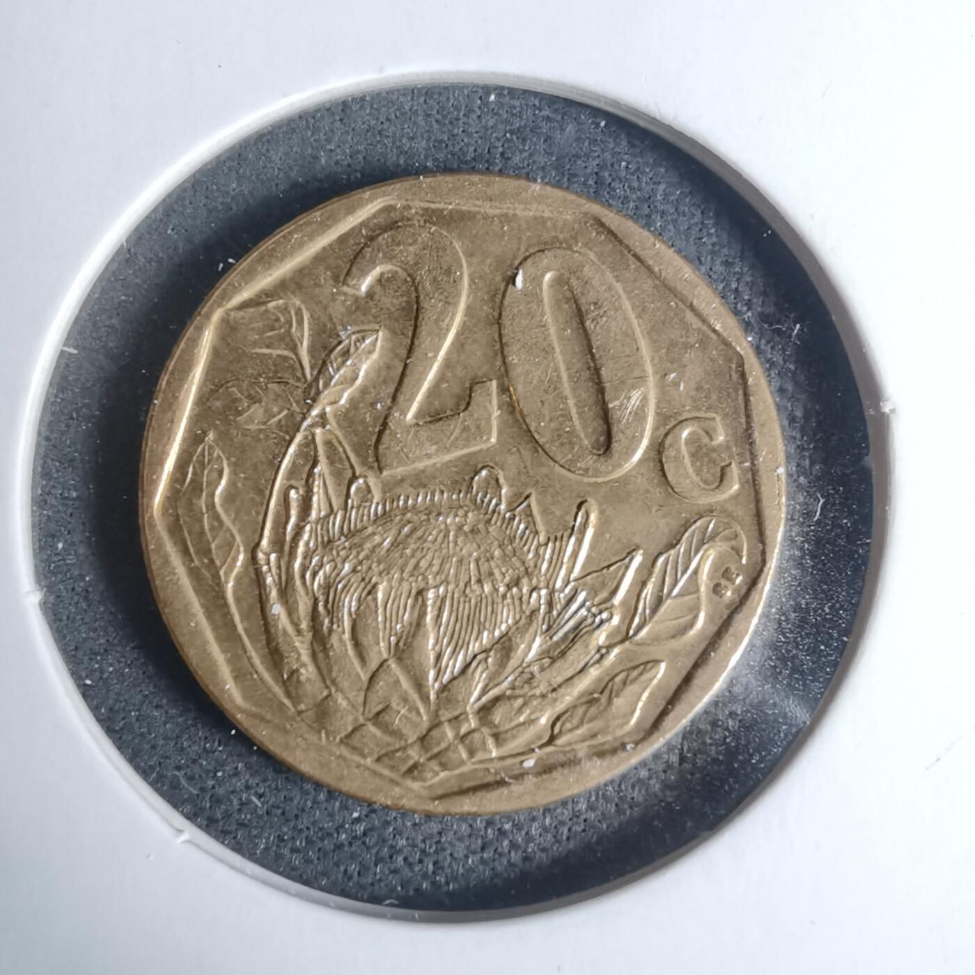 沼泽如烟--第934场