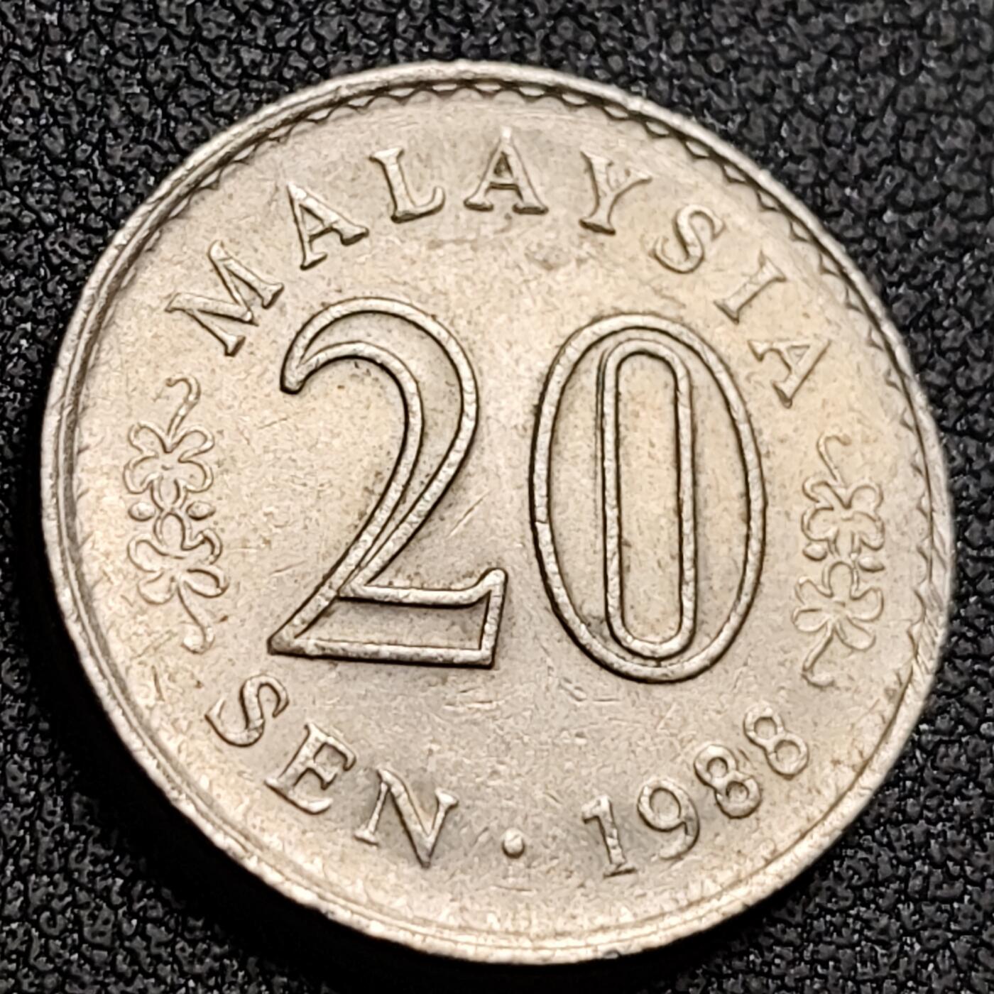 泉币菌-第147场-精品福利场 。