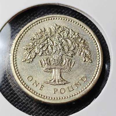 KK钱币收藏小铺 第381期  2月预留时间 周末发货 - 1987英国1镑 好品 