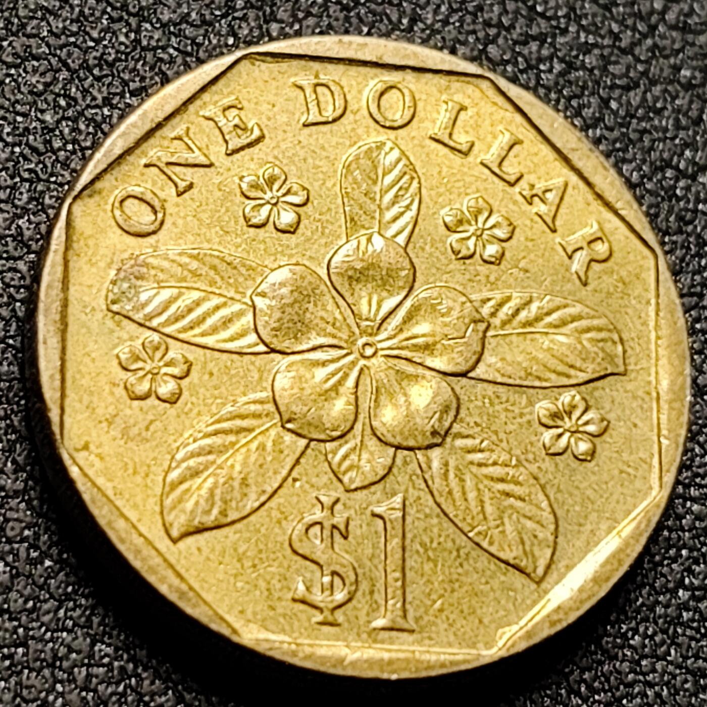 泉币菌-第147场-精品福利场 。