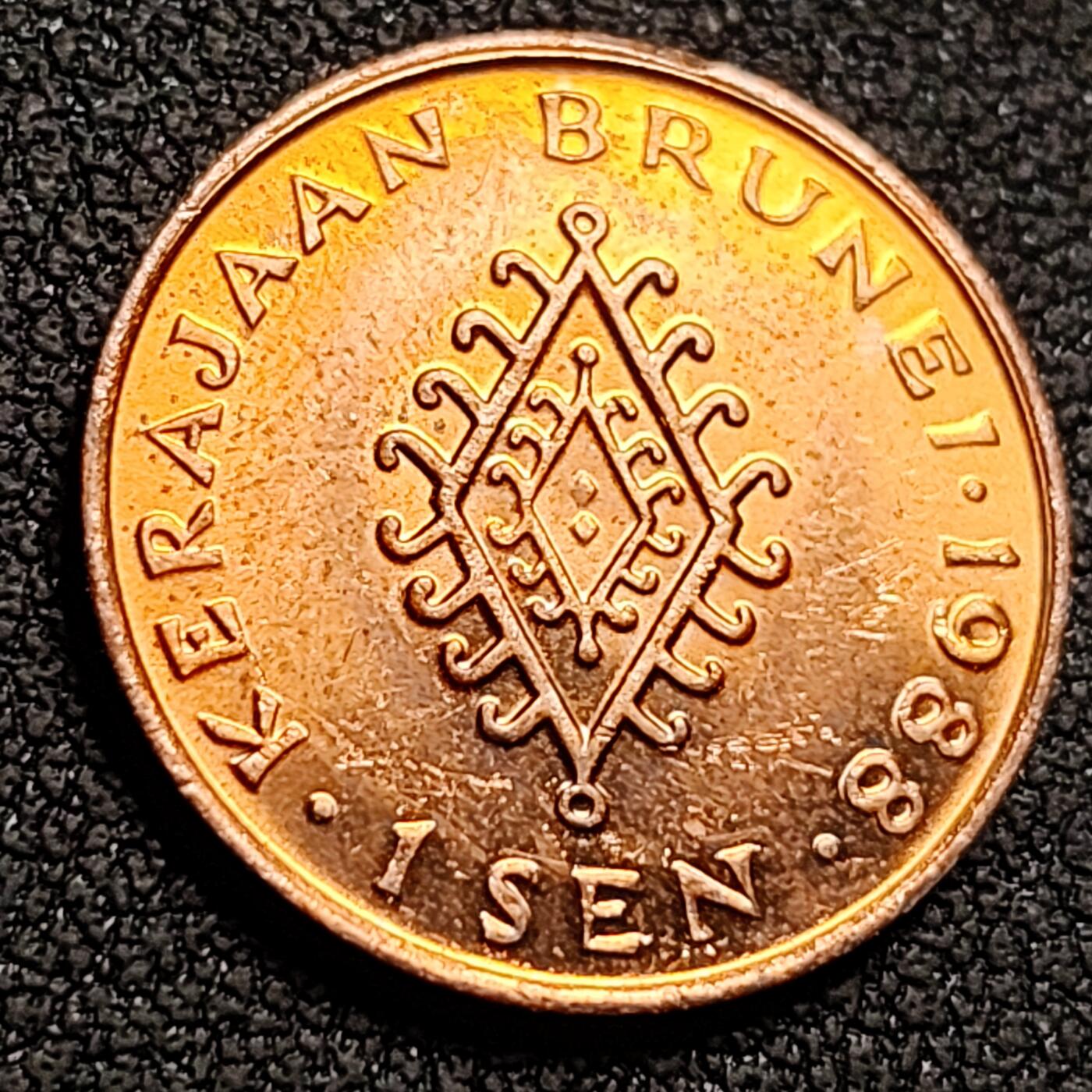 泉币菌-第147场-精品福利场