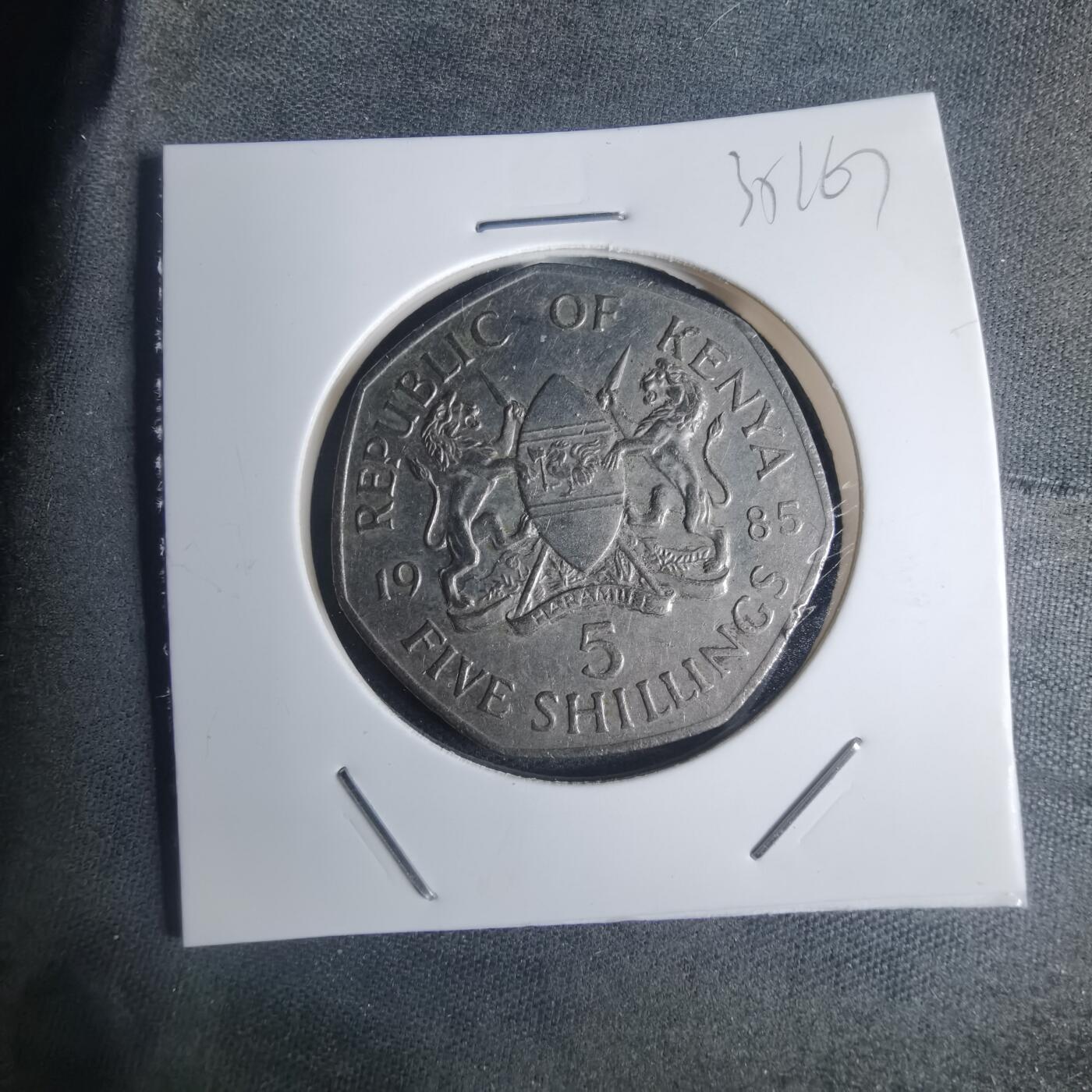 沼泽如烟--第935场