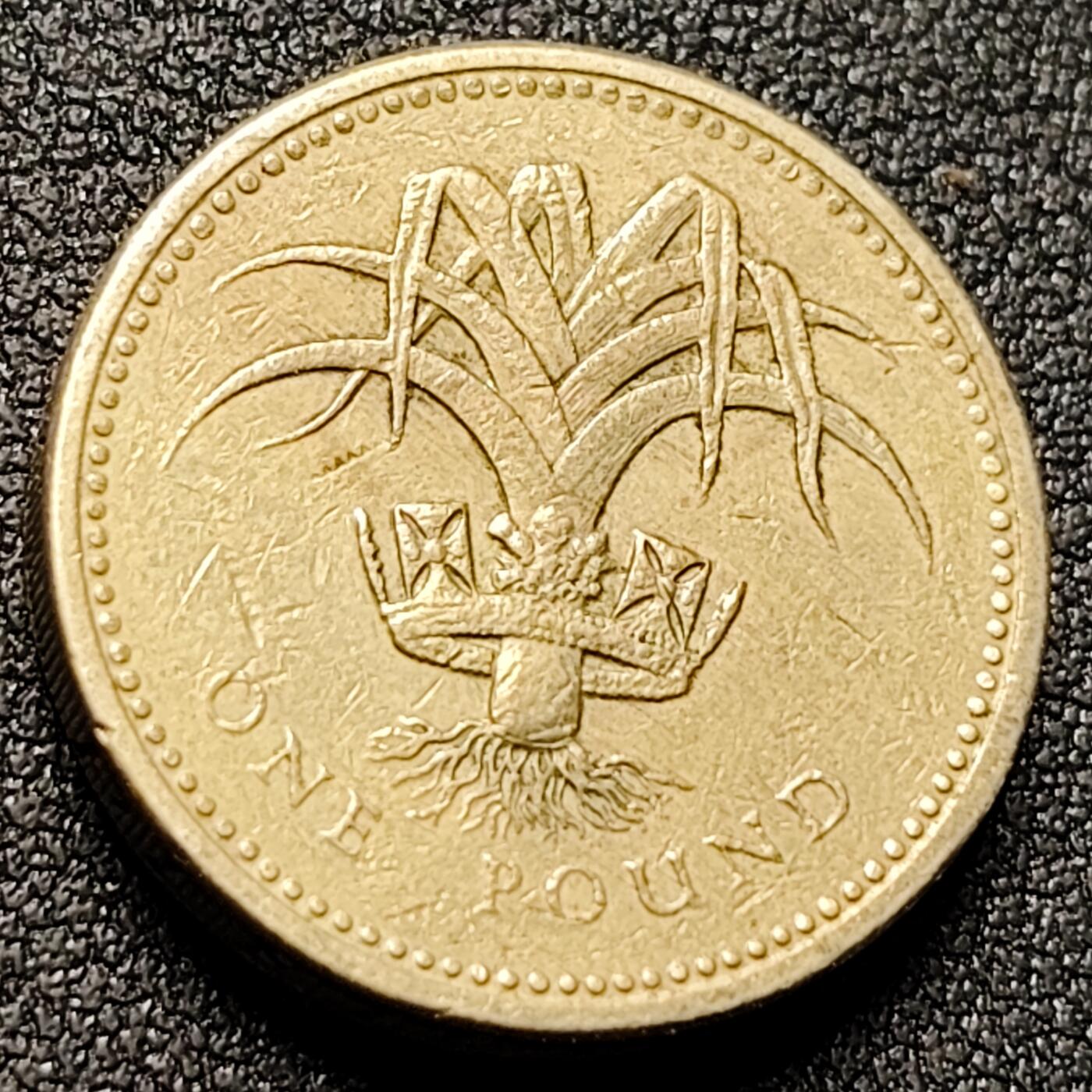 泉币菌-第147场-精品福利场 。