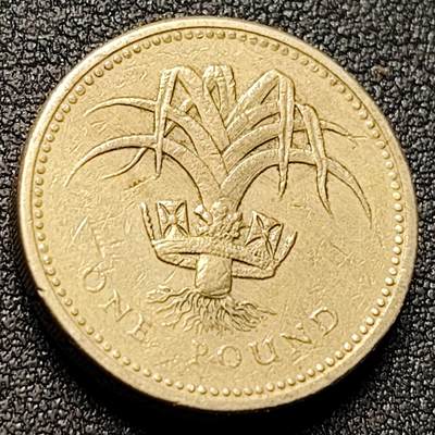 泉币菌-第147场-精品福利场 - 高币值 1985年 英国1英镑 威尔士韭菜 镍黄铜纪念币 22.5毫米9.5克