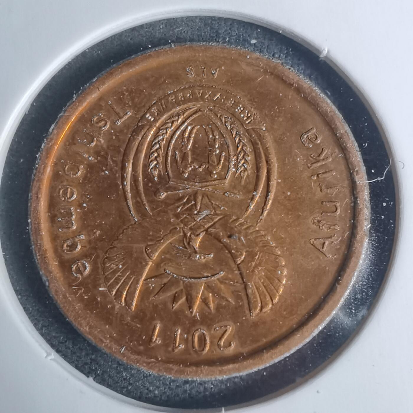 沼泽如烟--第934场 南非2011年五分