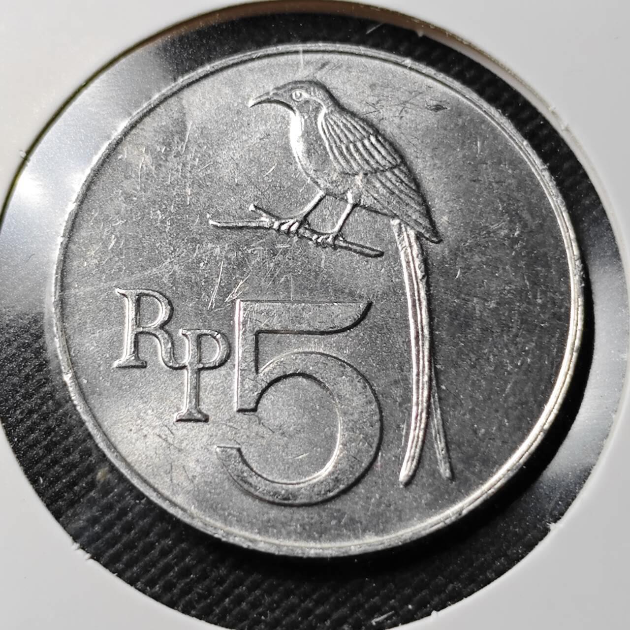 KK钱币收藏小铺 第380期  2月预留时间 周末发货