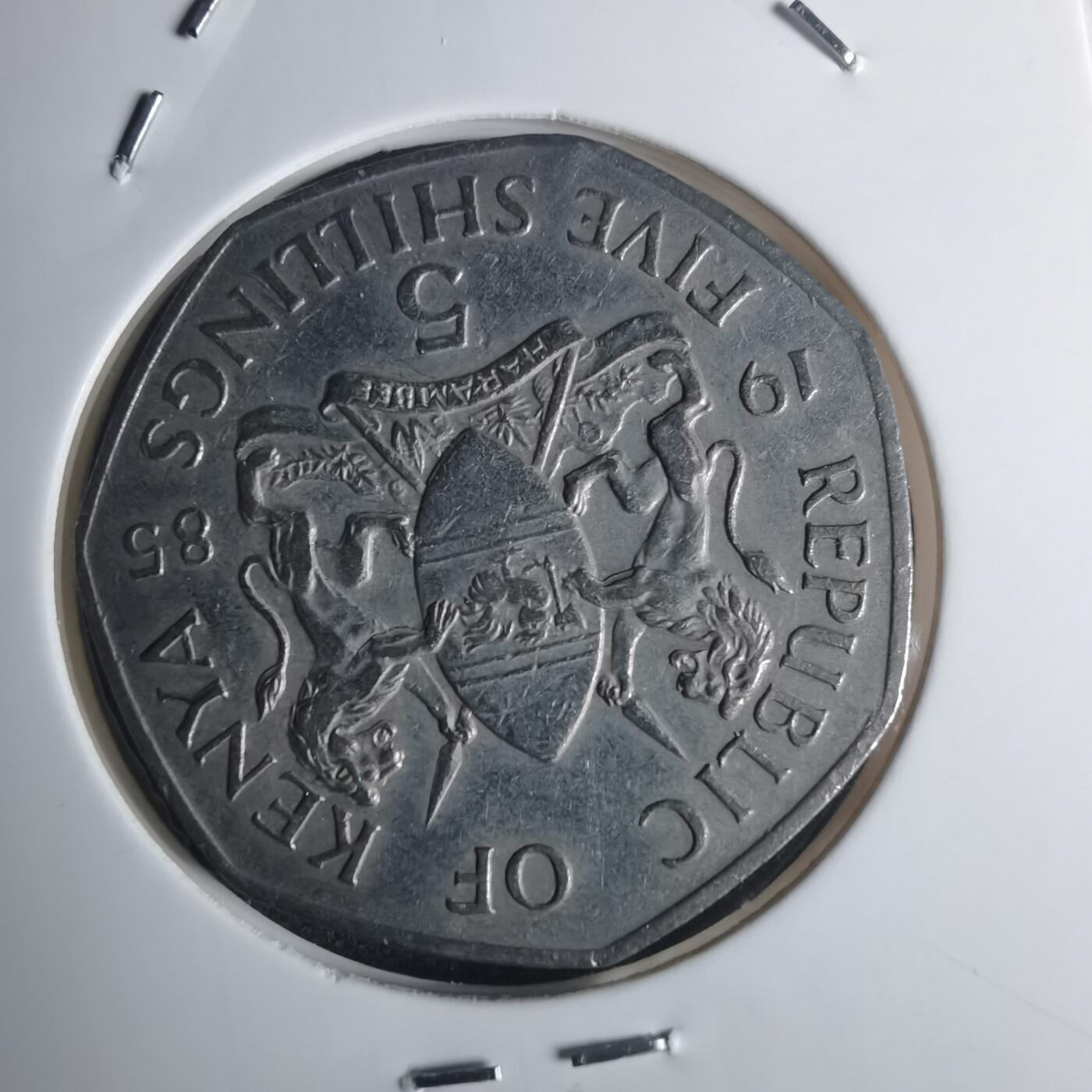 沼泽如烟--第935场