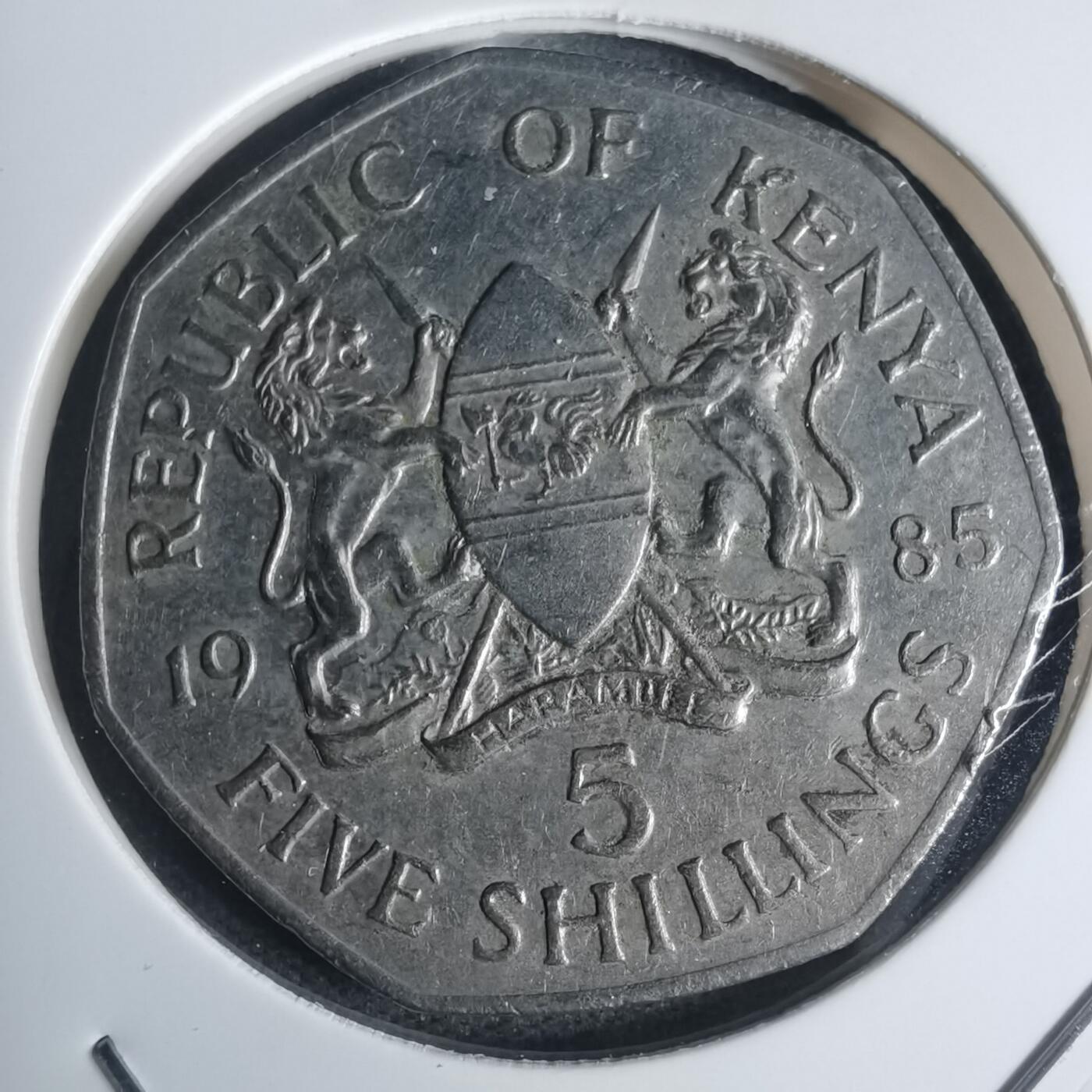 沼泽如烟--第935场