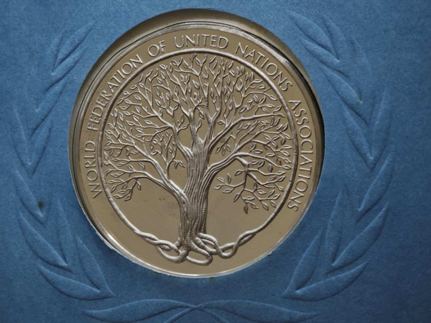 【淘币小摊】实时拍第八百三十拍   银币套币场   满百包邮可预留二周 每周一统一发货   联合国精制银章重20克925银银价260