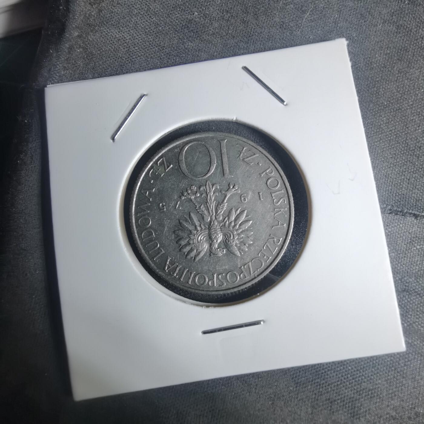 沼泽如烟--第935场