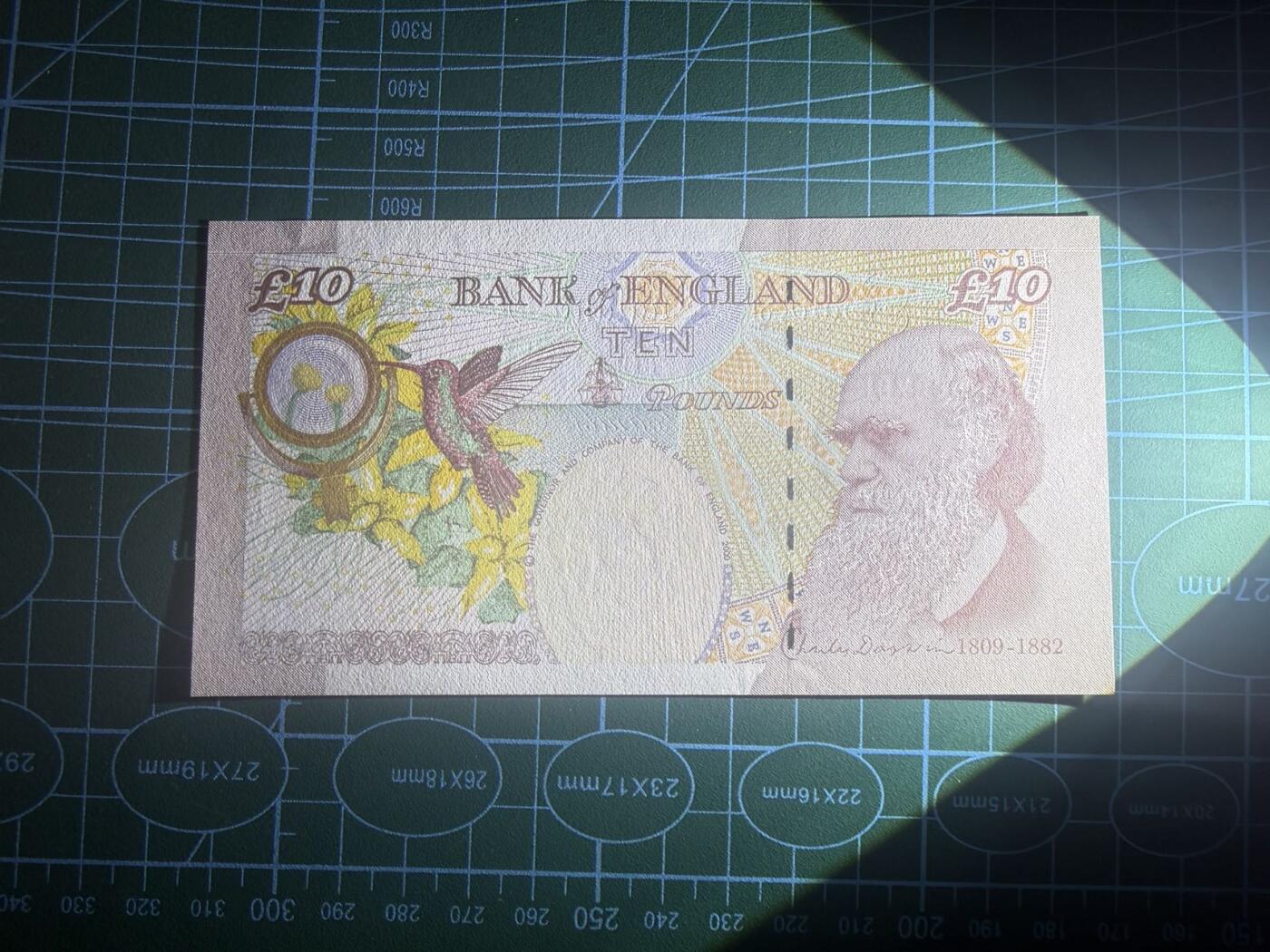 【炜奕收藏】，第五十三期