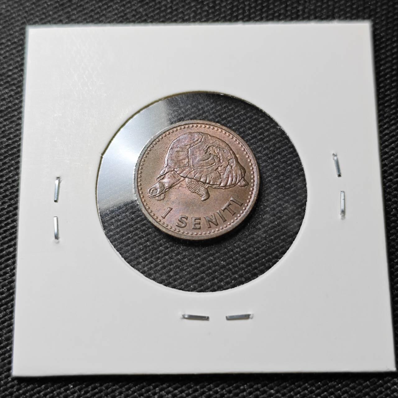 KK钱币收藏小铺 第381期  2月预留时间 周末发货