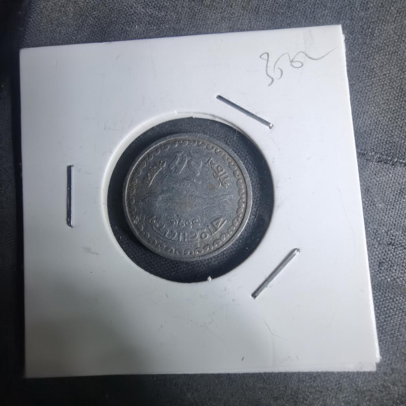 沼泽如烟--第935场 孟加拉鱼