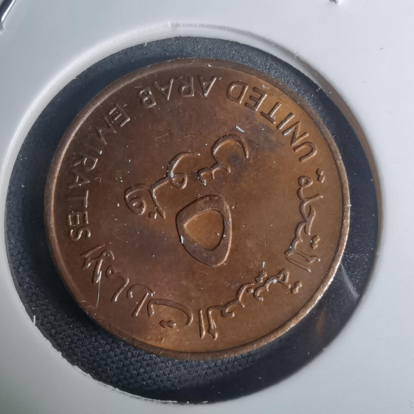 沼泽如烟--第935场