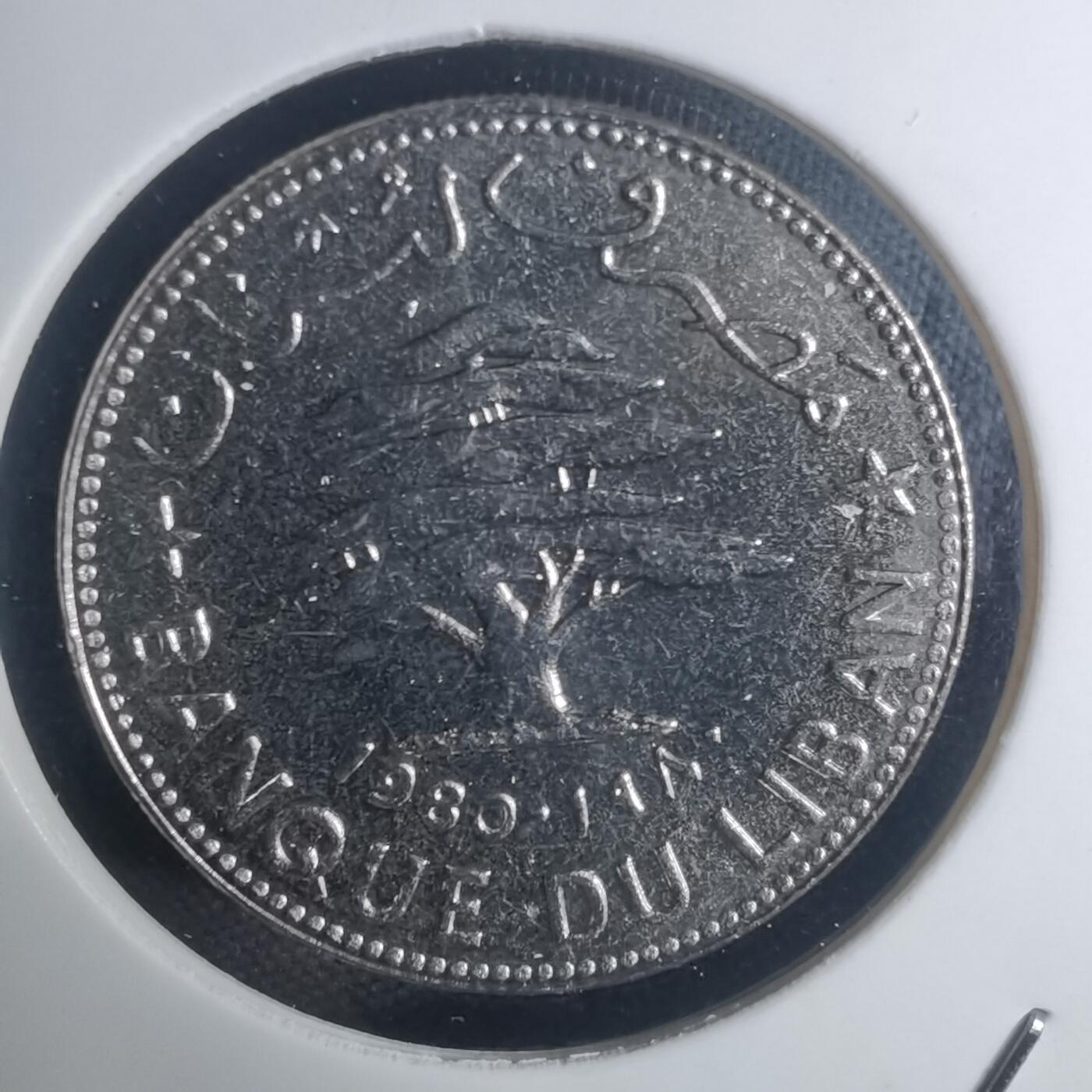 沼泽如烟--第935场