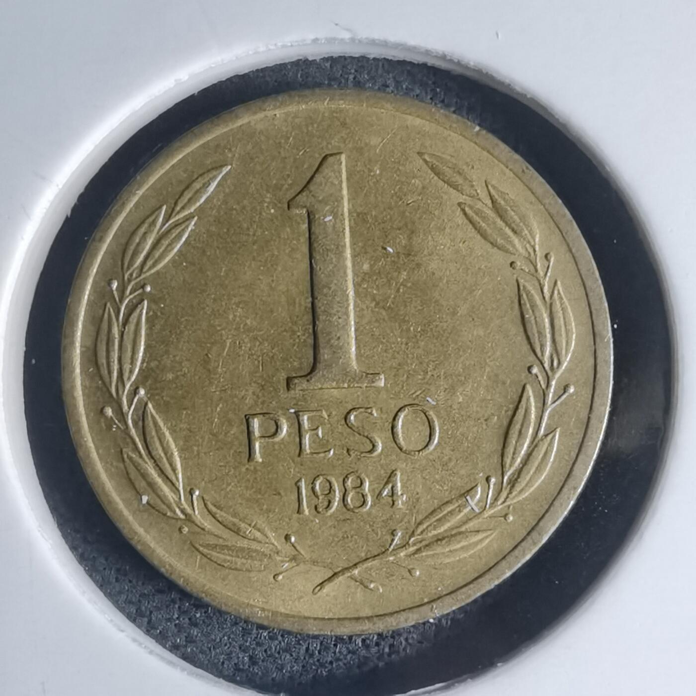 沼泽如烟--第935场 智利1984年1比索