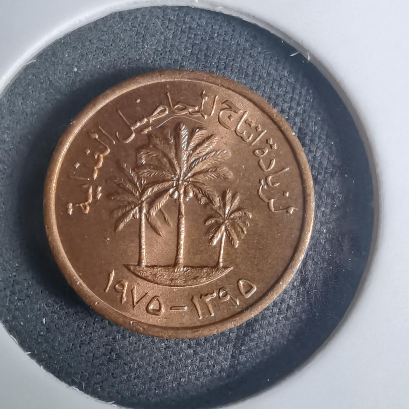 沼泽如烟--第935场