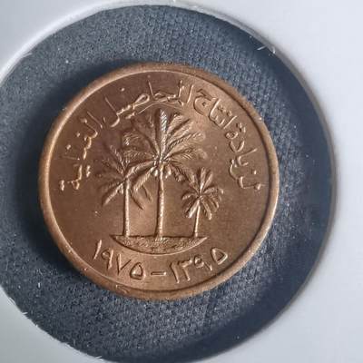 沼泽如烟--第935场 - 阿联酋