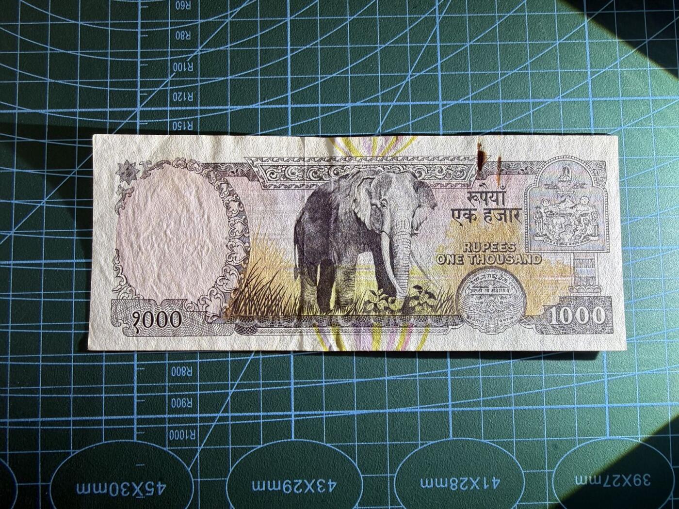 【炜奕收藏】，第五十三期