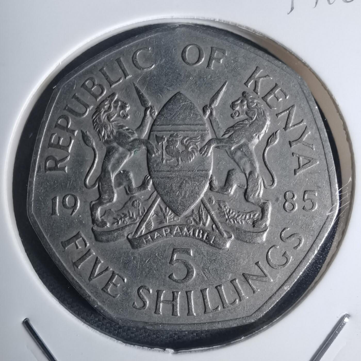 沼泽如烟--第935场