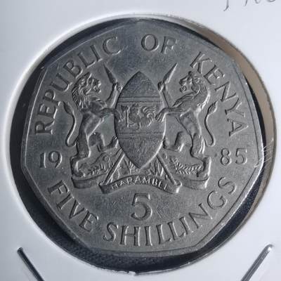 沼泽如烟--第935场 - 肯尼亚1985年5先令