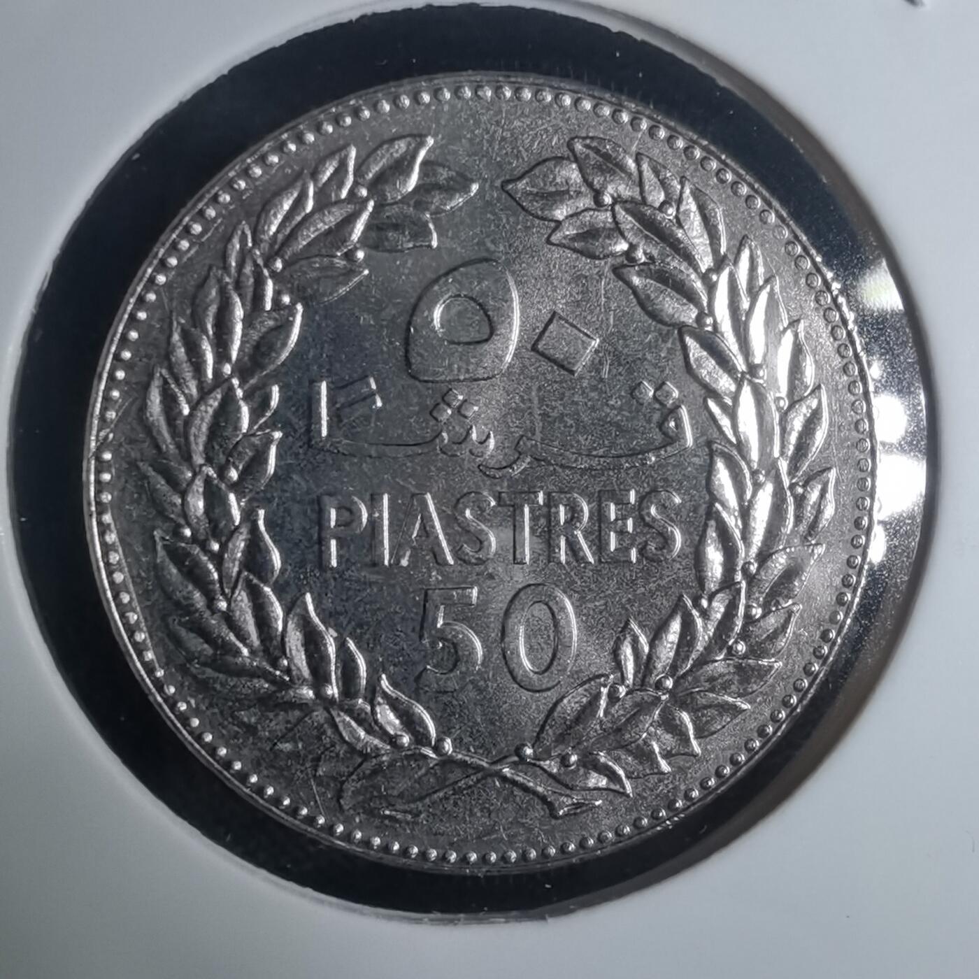 沼泽如烟--第935场