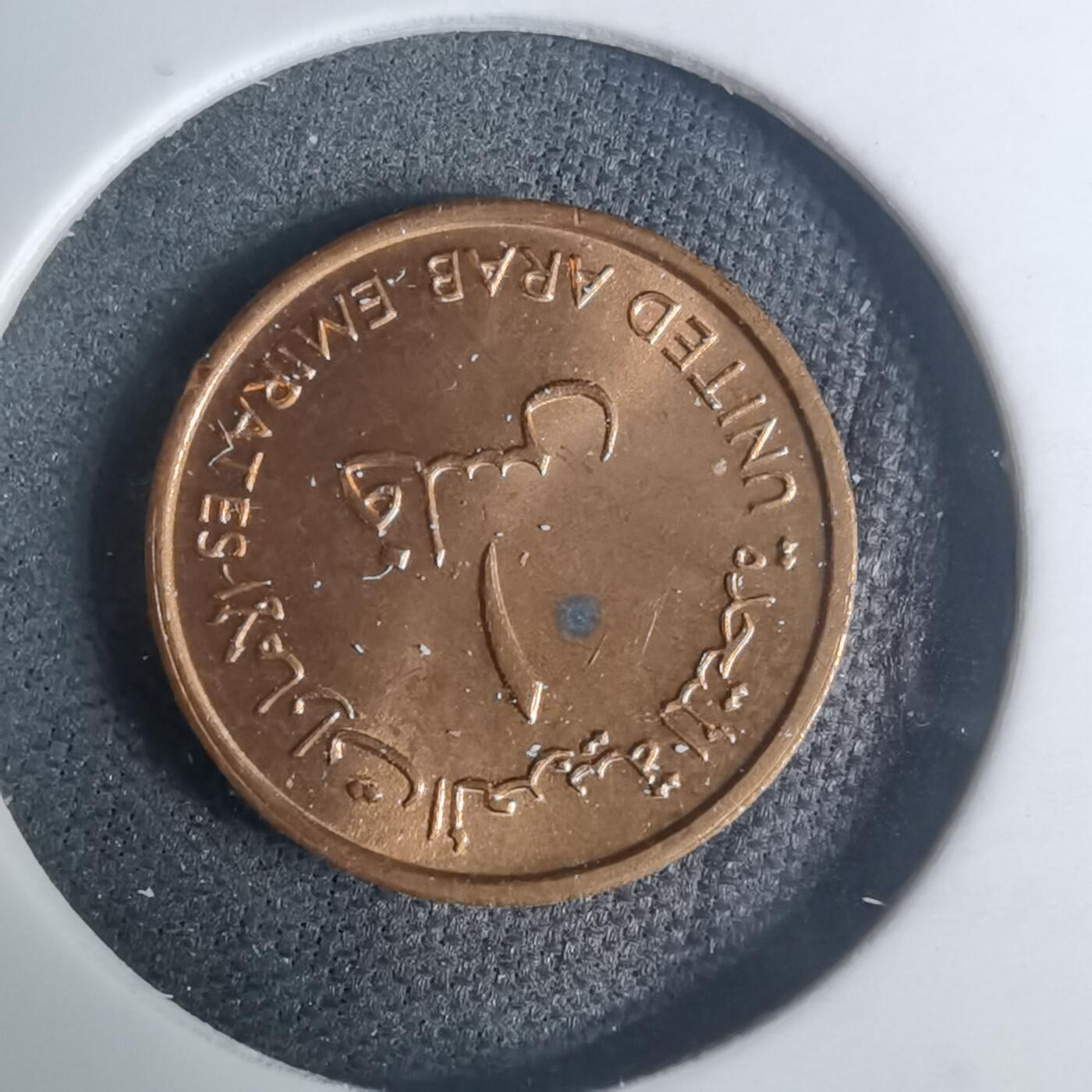 沼泽如烟--第935场