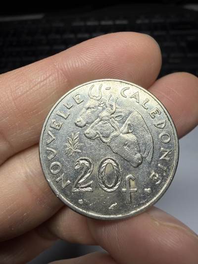 2025年集古藏今外币拍卖第十一期-第1场—（总第291拍），可以寄存60天，满160元包邮。 - 1999年法属新喀里多尼亚20法郎