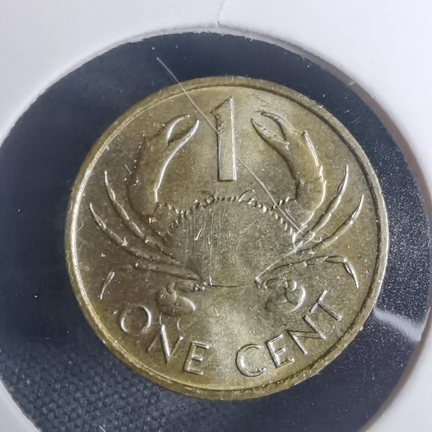 沼泽如烟--第935场