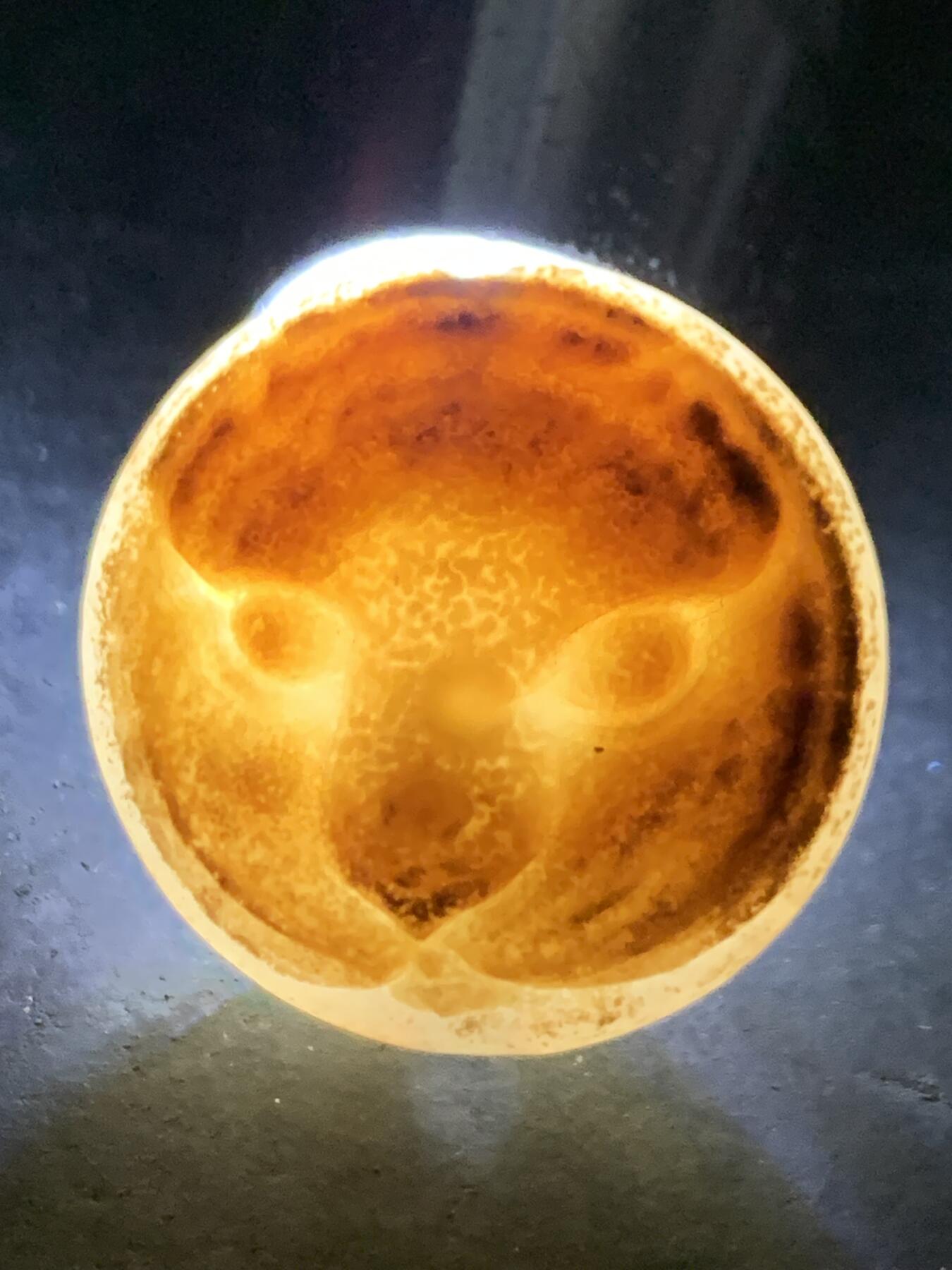 精品亚光药师玛瑙手工雕刻虎首板珠（背云）一颗。