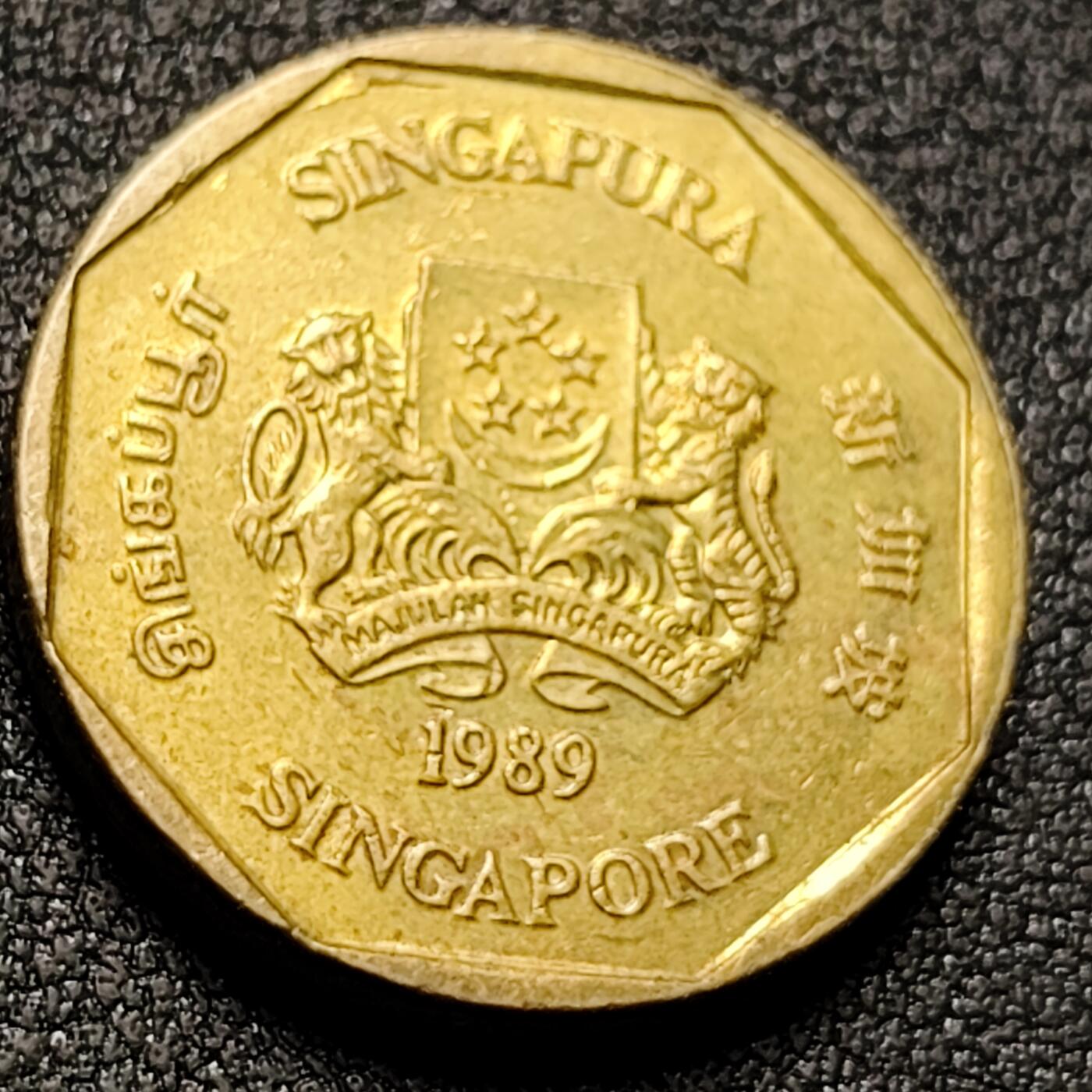 泉币菌-第147场-精品福利场 。