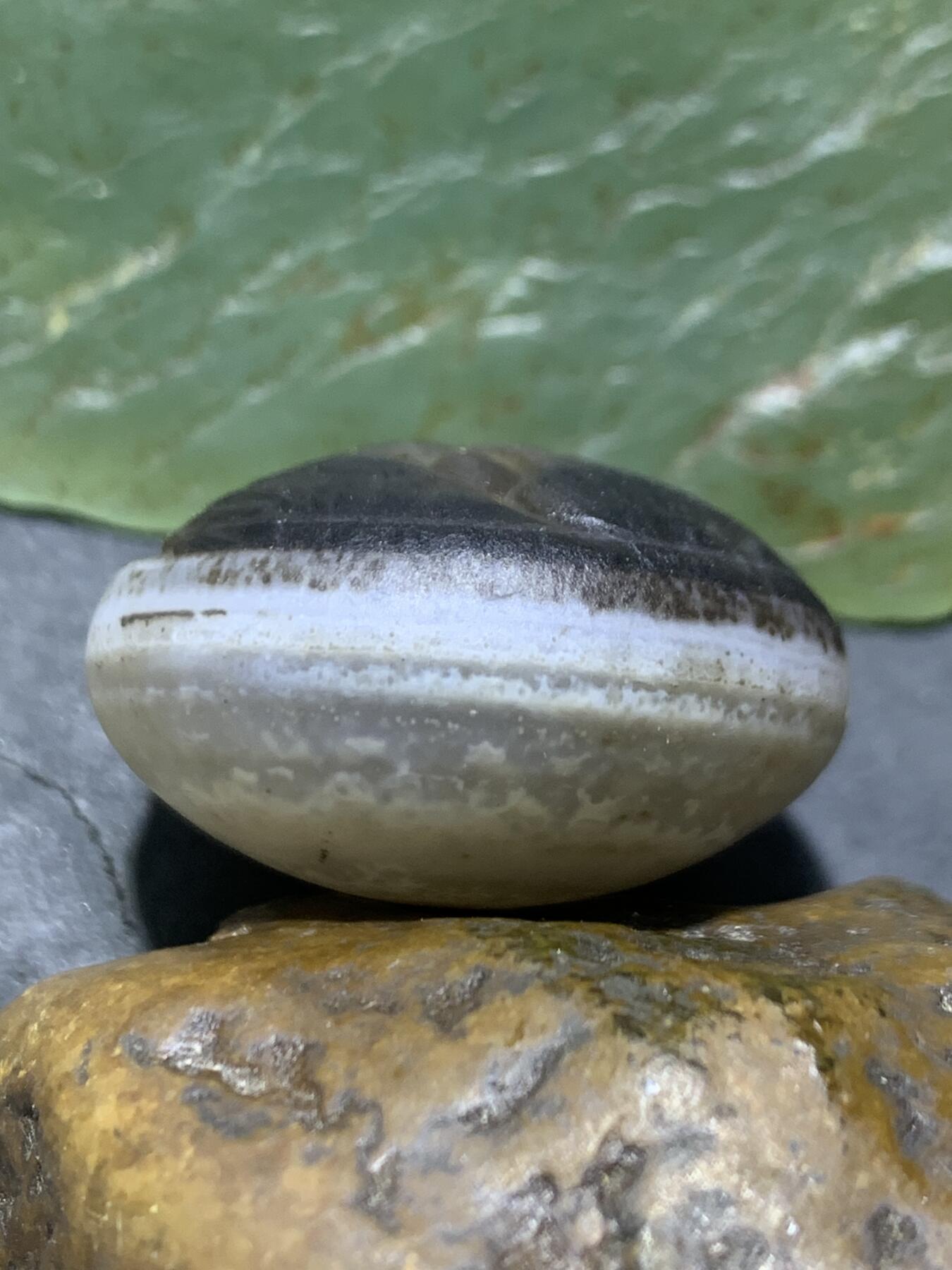 精品亚光药师玛瑙手工雕刻虎首板珠（背云）一颗。