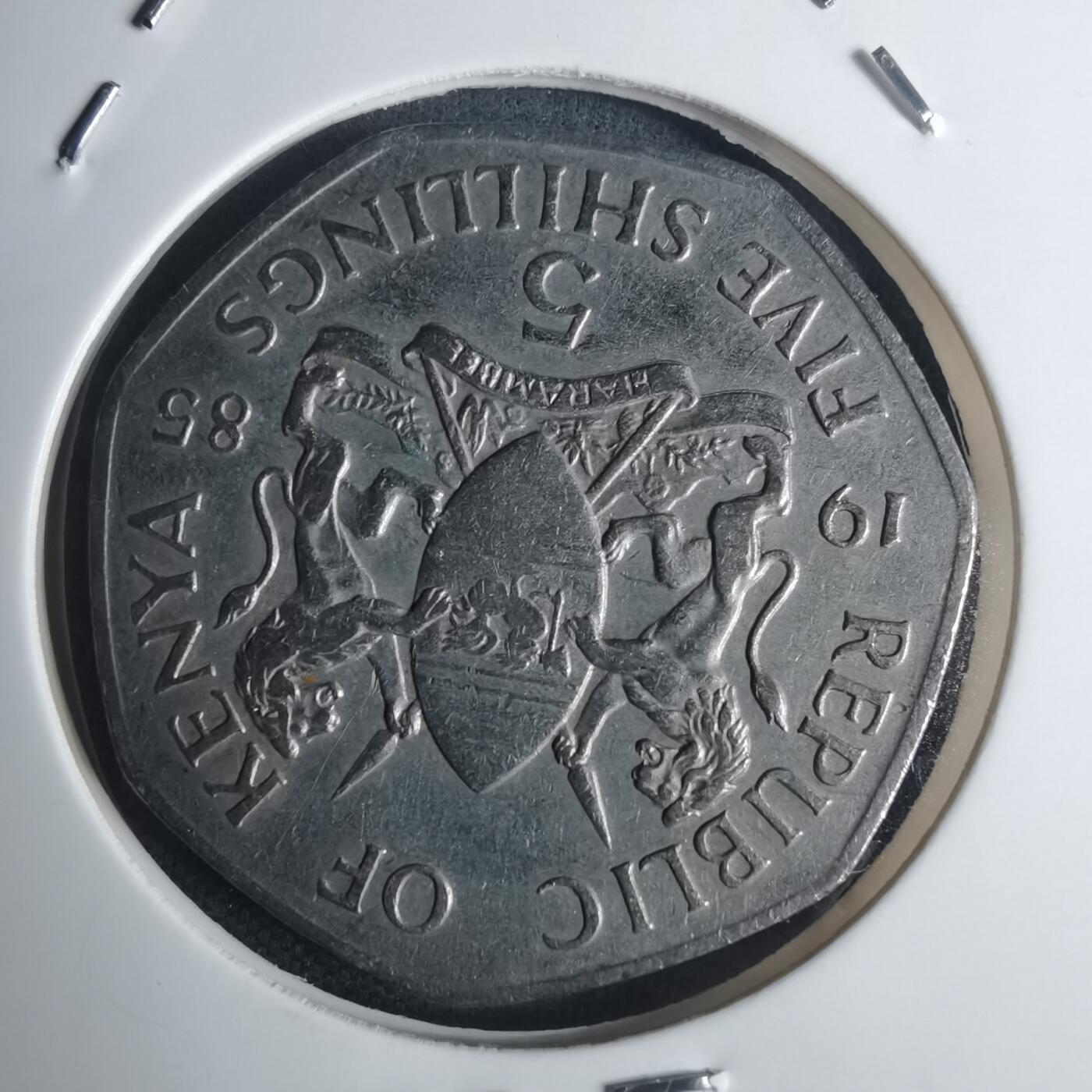 沼泽如烟--第935场