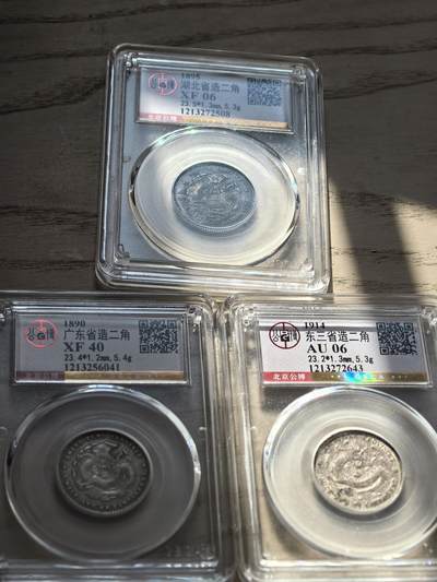 出一组二角小龙豪 - 出一组二角小龙豪