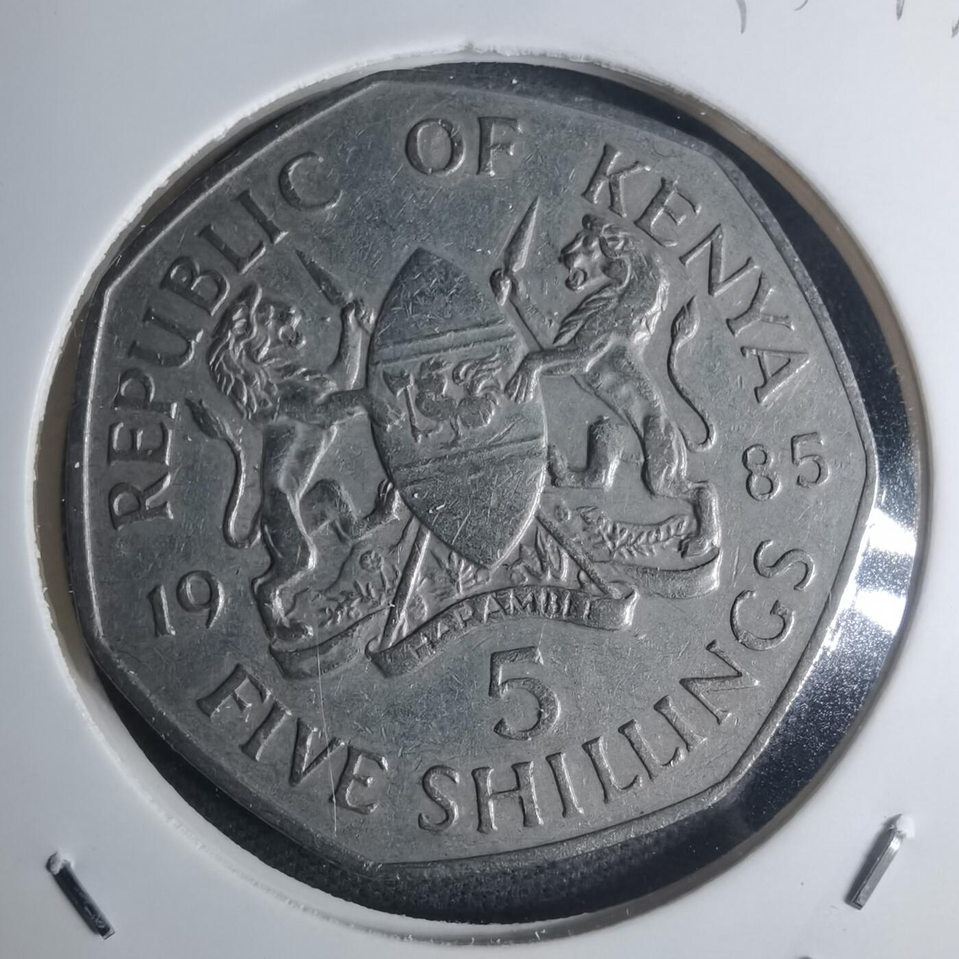 沼泽如烟--第935场