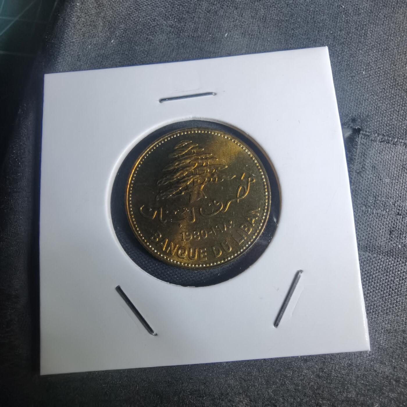 沼泽如烟--第935场