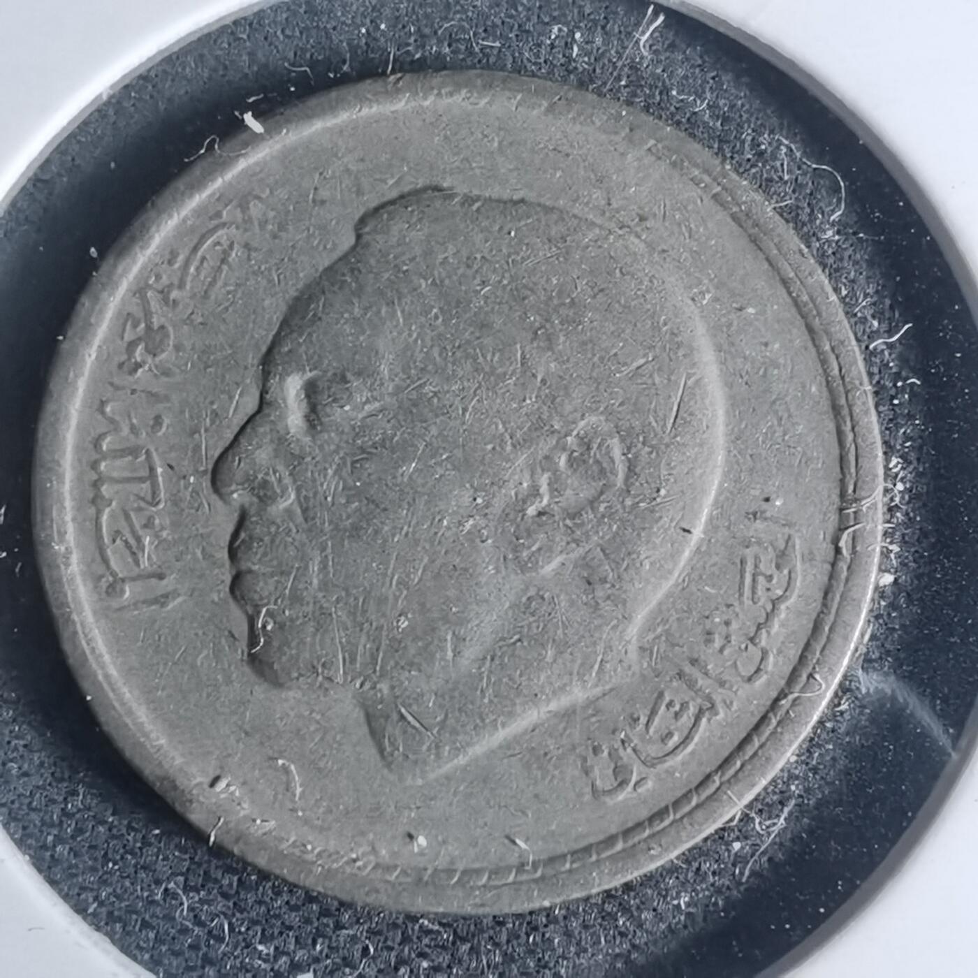 沼泽如烟--第935场