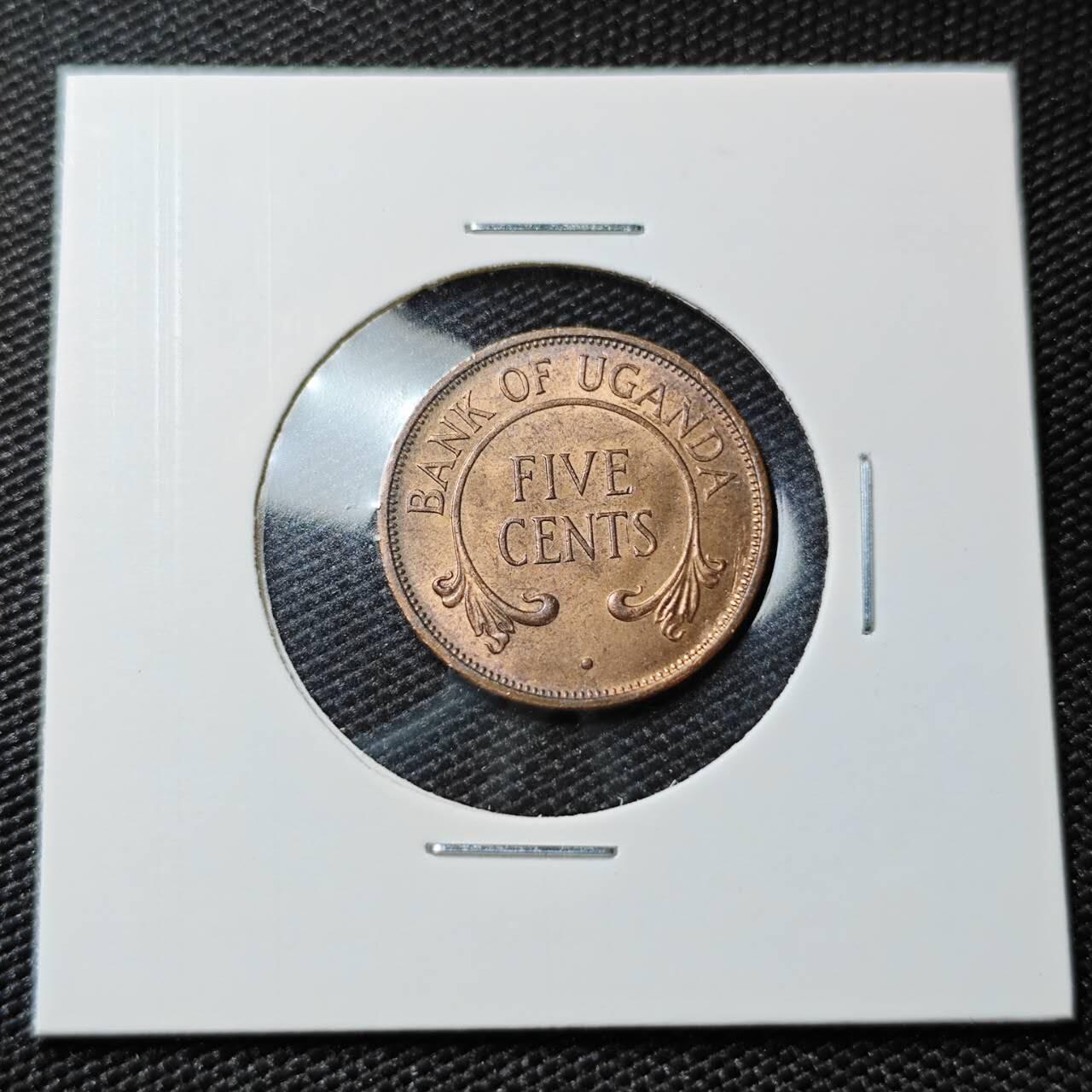 KK钱币收藏小铺 第381期  2月预留时间 周末发货