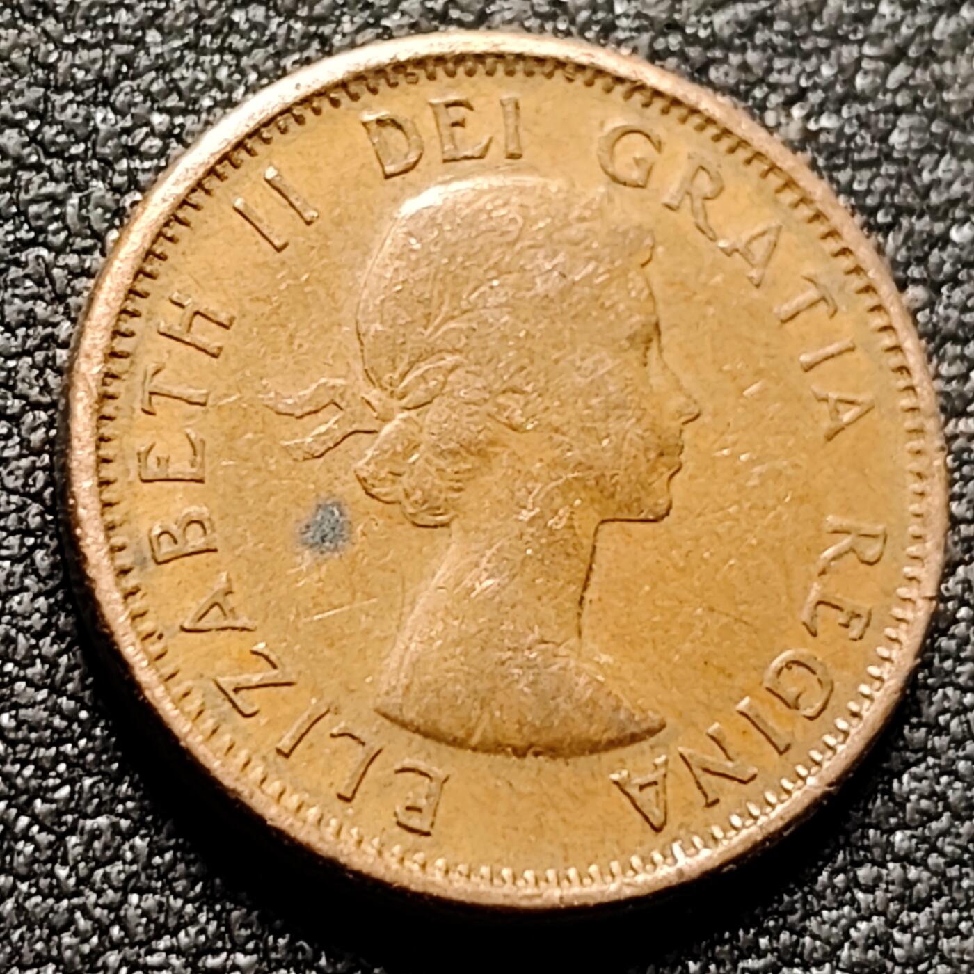 泉币菌-第147场-精品福利场 。