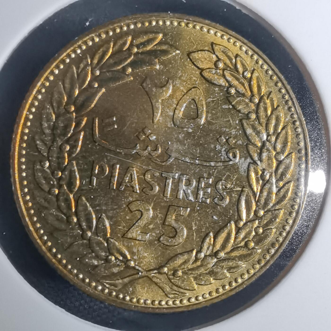 沼泽如烟--第935场