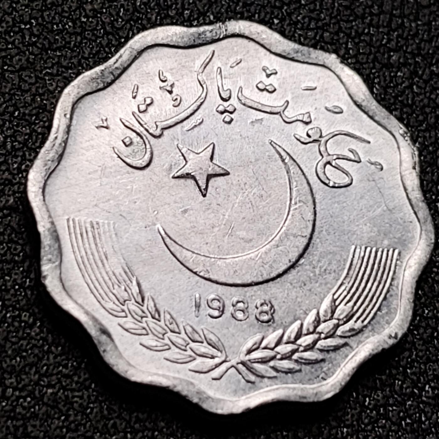 泉币菌-第148场-精品福利场 。