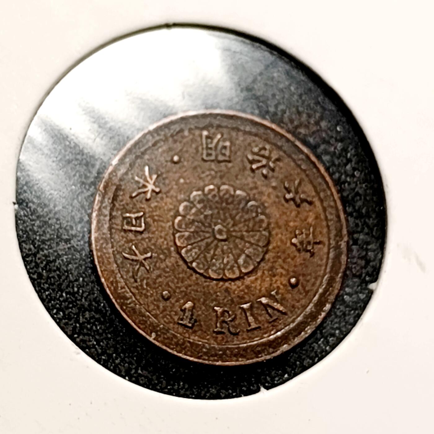 泉币菌-第147场-精品福利场 。