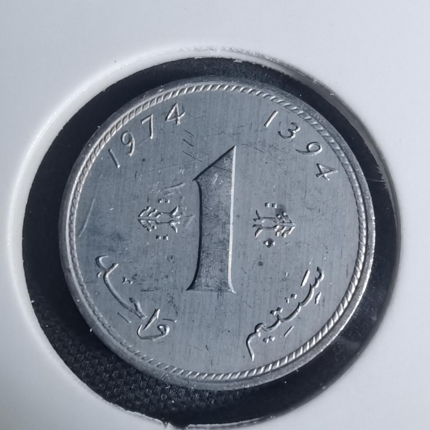 沼泽如烟--第935场