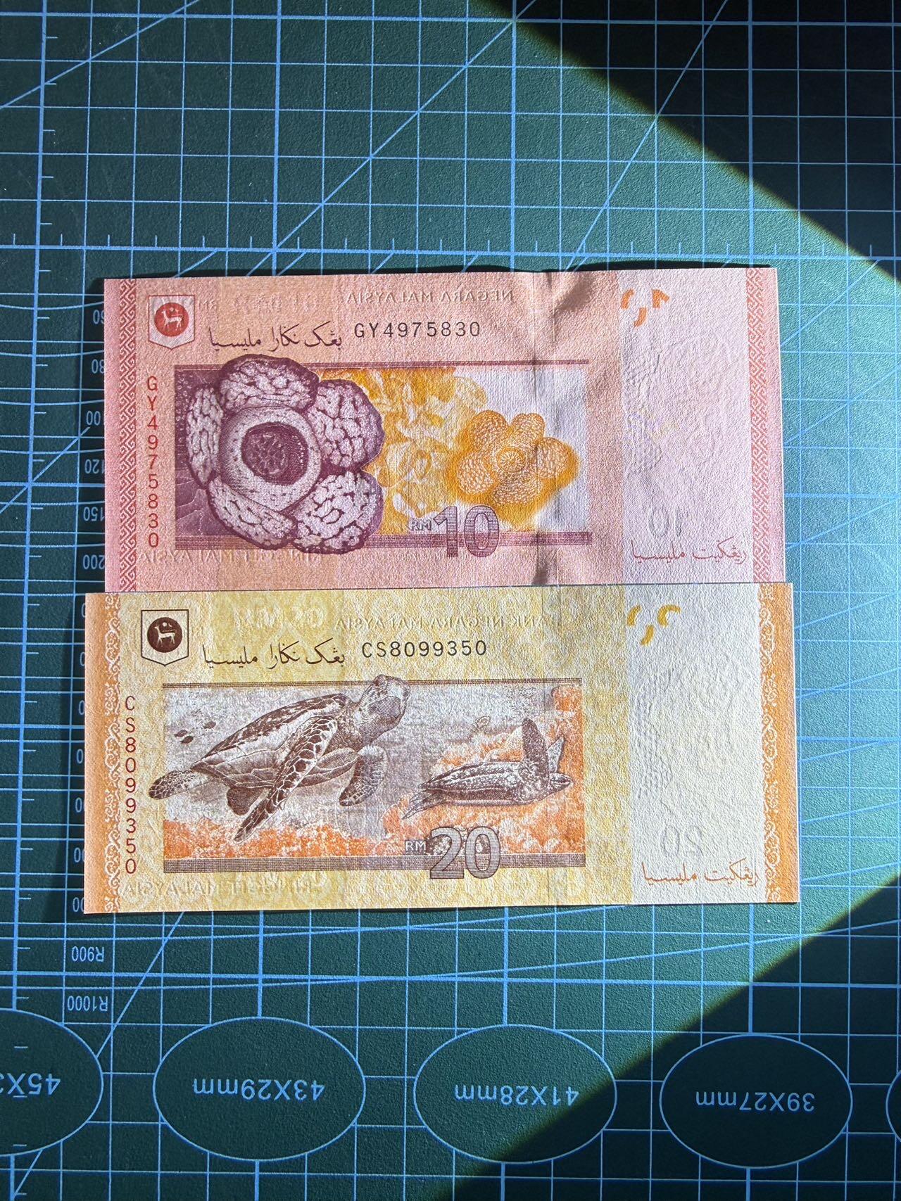 【炜奕收藏】，第五十三期