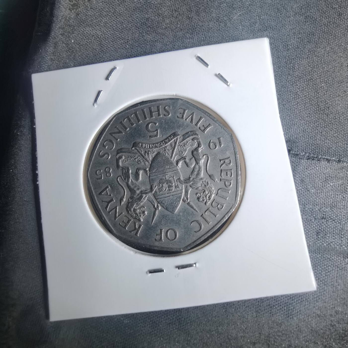 沼泽如烟--第935场