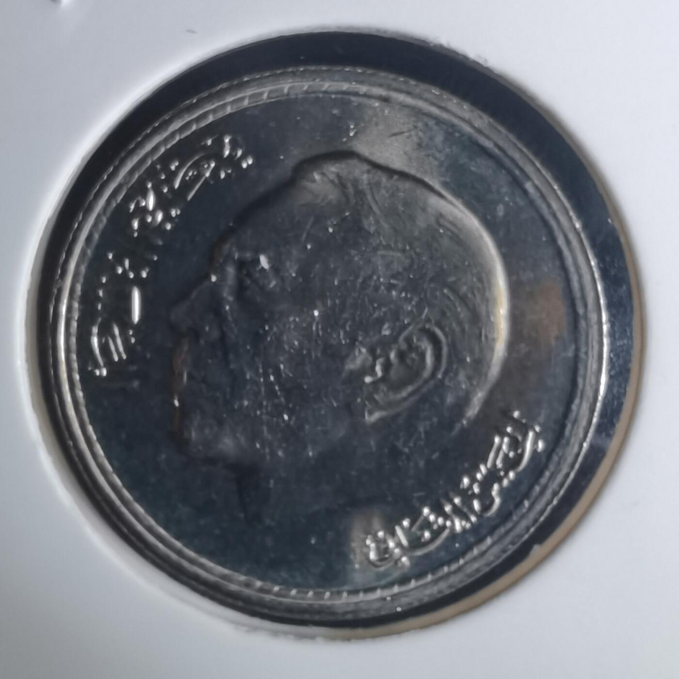 沼泽如烟--第935场