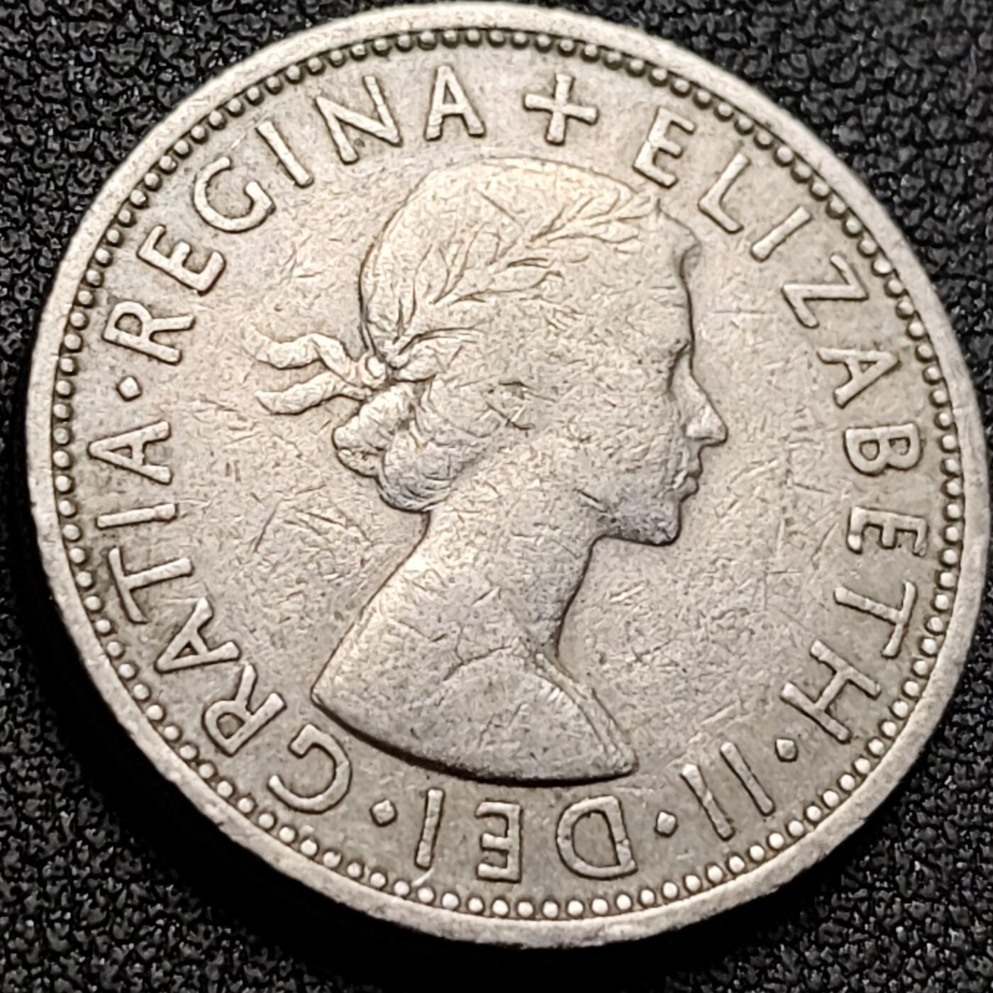 泉币菌-第147场-精品福利场 。