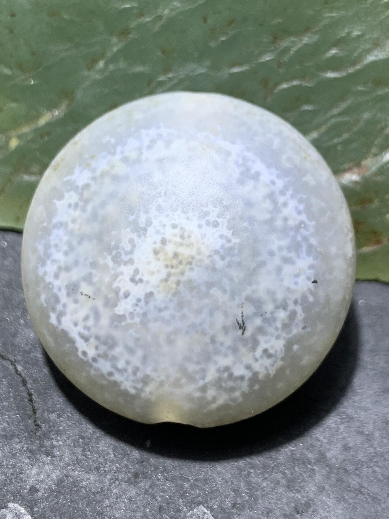 精品亚光药师玛瑙手工雕刻虎首板珠（背云）一颗。