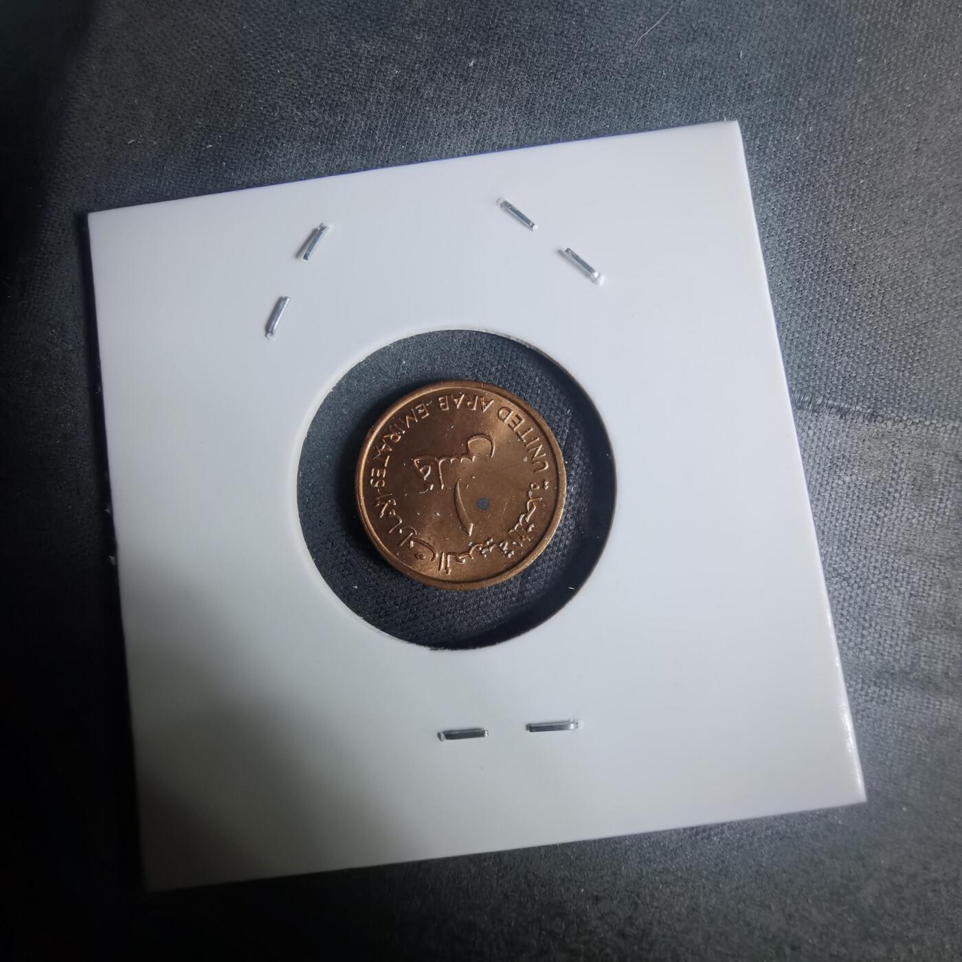 沼泽如烟--第935场