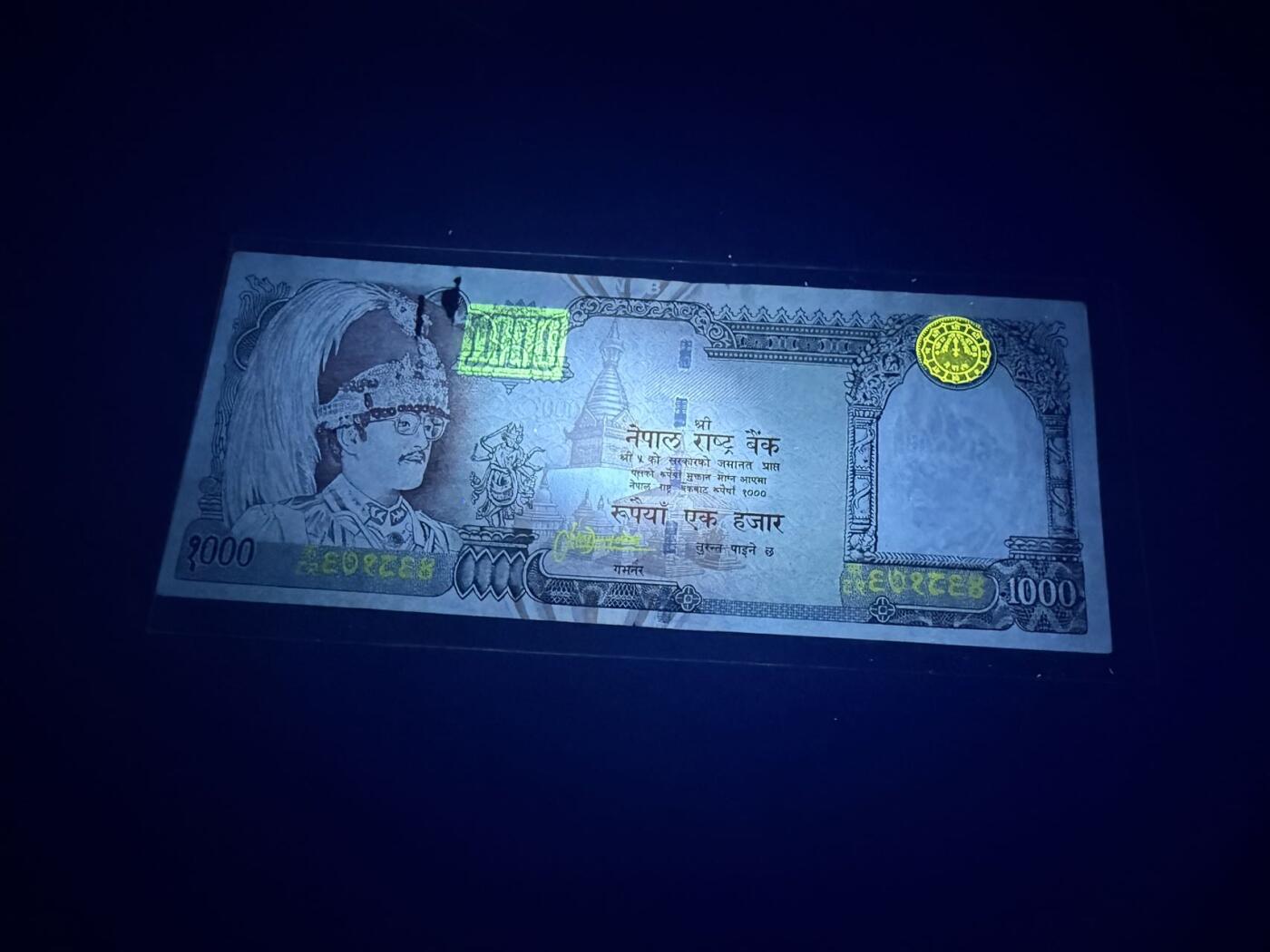 【炜奕收藏】，第五十三期